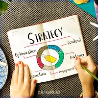 استراتژی برندینگ آنلاین حرفه‌ ای